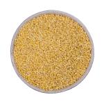 Organic Proso Millet