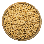 Organic Soya Beans
