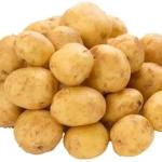 POTATO