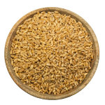 Organic Whole Wheat