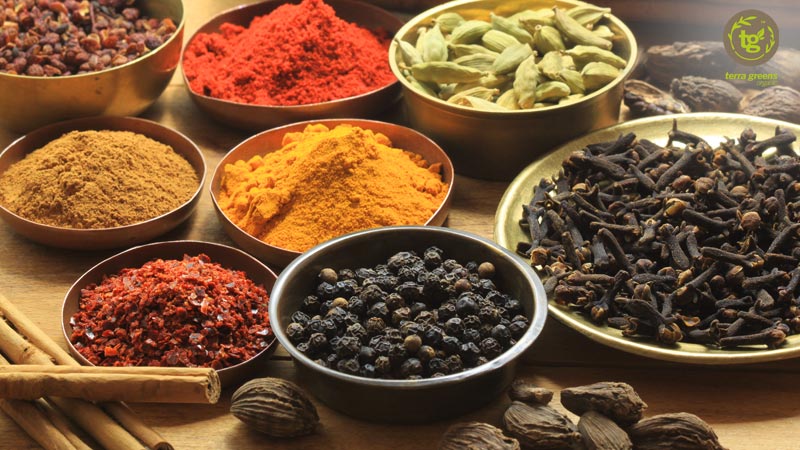 INDIAN SPICES : THE MEDICAL KIT IN OUR KITCHEN