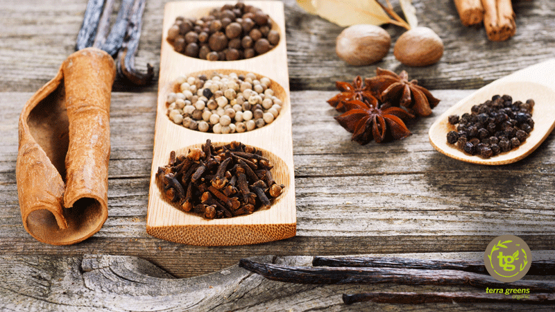 SPICES: MEDICINE CABINET IN OUR KITCHEN